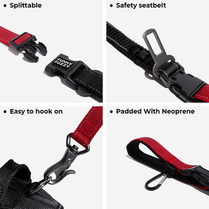 mutifunctionleash1 detail mb