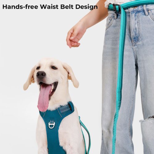 AdjustableAnti PullBreathableDogHarnesswithHands FreeLeash 10