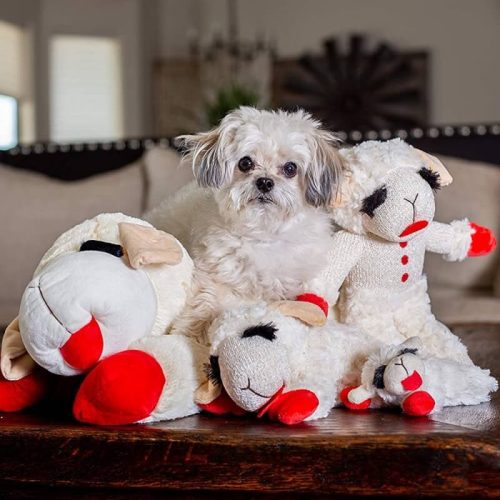 AdorablePlushLambSqueakerToyDogInteractiveToy 1