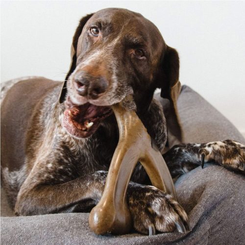 Bacon FlavoredDurableTeethingBonesDogChewToy 1