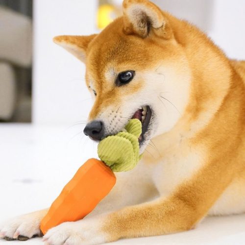 CarrotSqueakyToyDurableDogChewToy 10