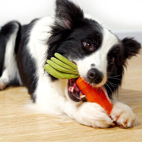 CarrotSqueakyToyDurableDogChewToy 3