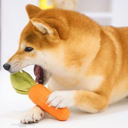 CarrotSqueakyToyDurableDogChewToy 4