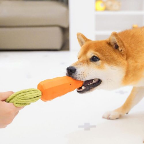 CarrotSqueakyToyDurableDogChewToy 5