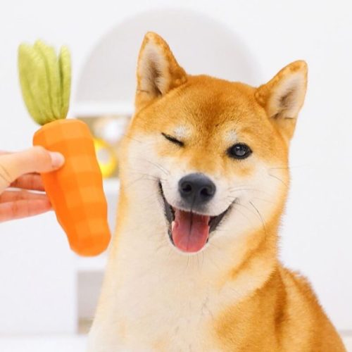 CarrotSqueakyToyDurableDogChewToy 6