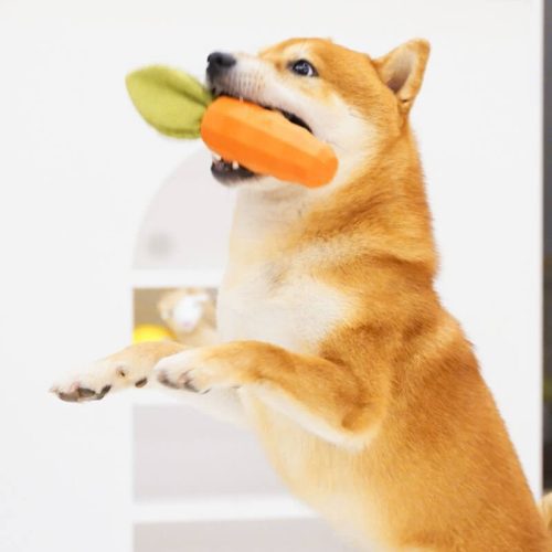 CarrotSqueakyToyDurableDogChewToy 8