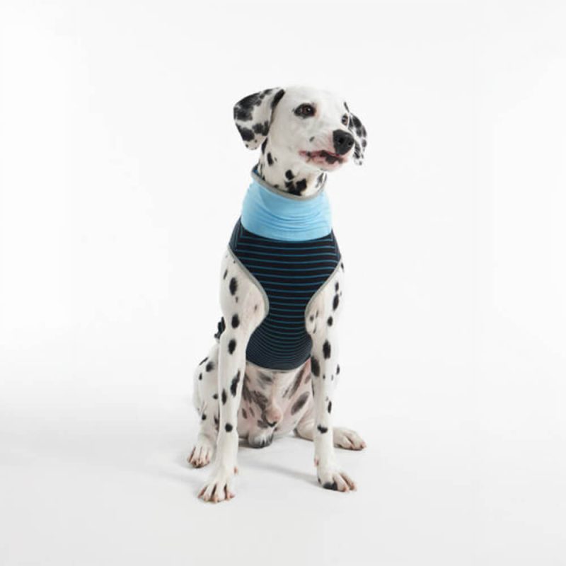 CoolingIceSilkStripedColoredBreathableDogCoolingVest 10