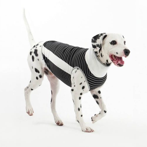 CoolingIceSilkStripedColoredBreathableDogCoolingVest 6