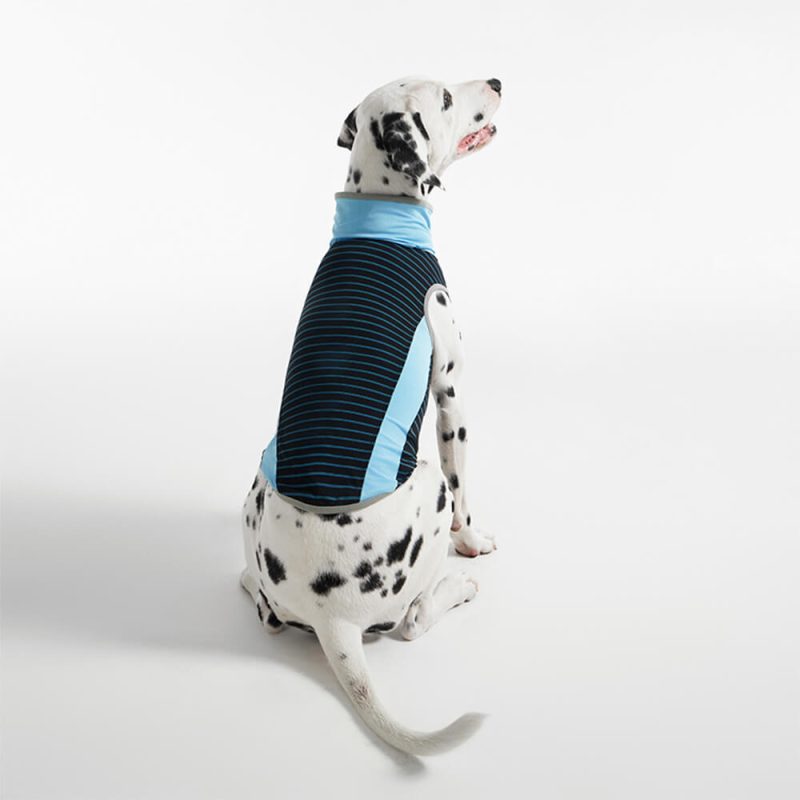 CoolingIceSilkStripedColoredBreathableDogCoolingVest 7