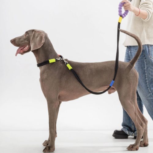 CottonCandyDual SectionBraidedDogwalkingLeash 12