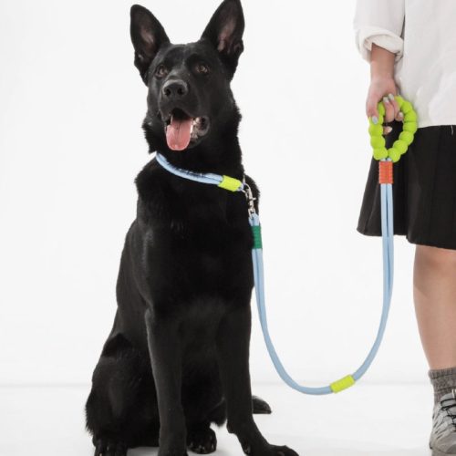 CottonCandyDual SectionBraidedDogwalkingLeash 14