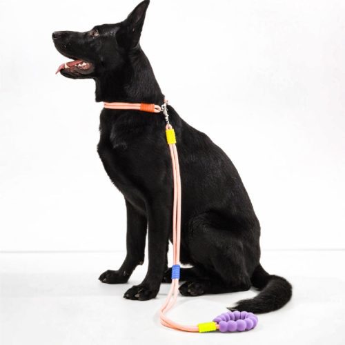 CottonCandyDual SectionBraidedDogwalkingLeash 7