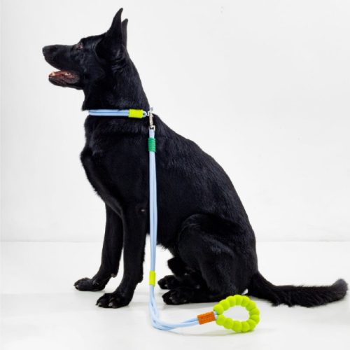 CottonCandyDual SectionBraidedDogwalkingLeash 8