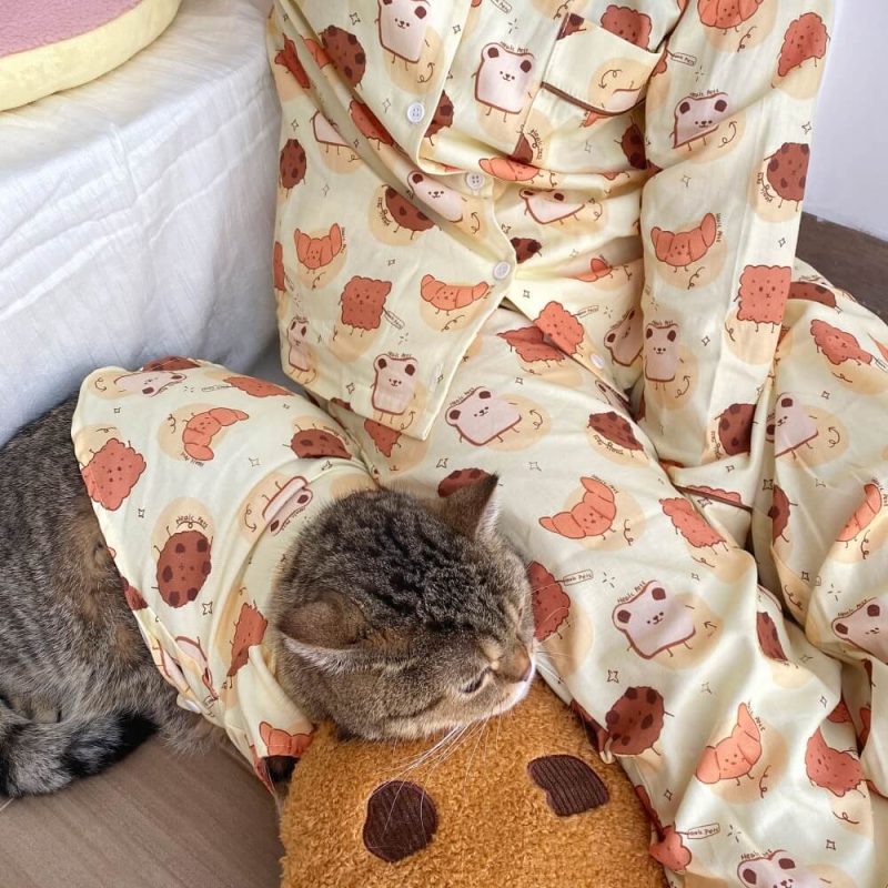 CuteCookieT ShirtMatchingPajamasforPetsandOwner 4