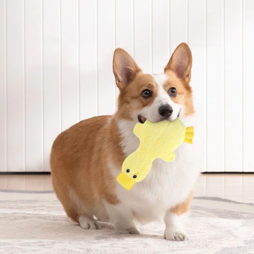 CuteDuckPlushToyWithSqueakerDogChewToy 3