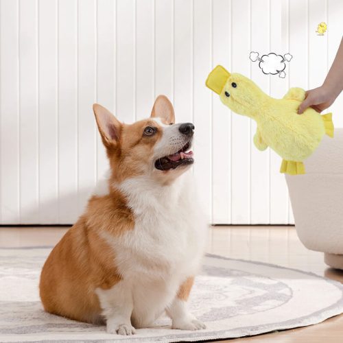 CuteDuckPlushToyWithSqueakerDogChewToy 4