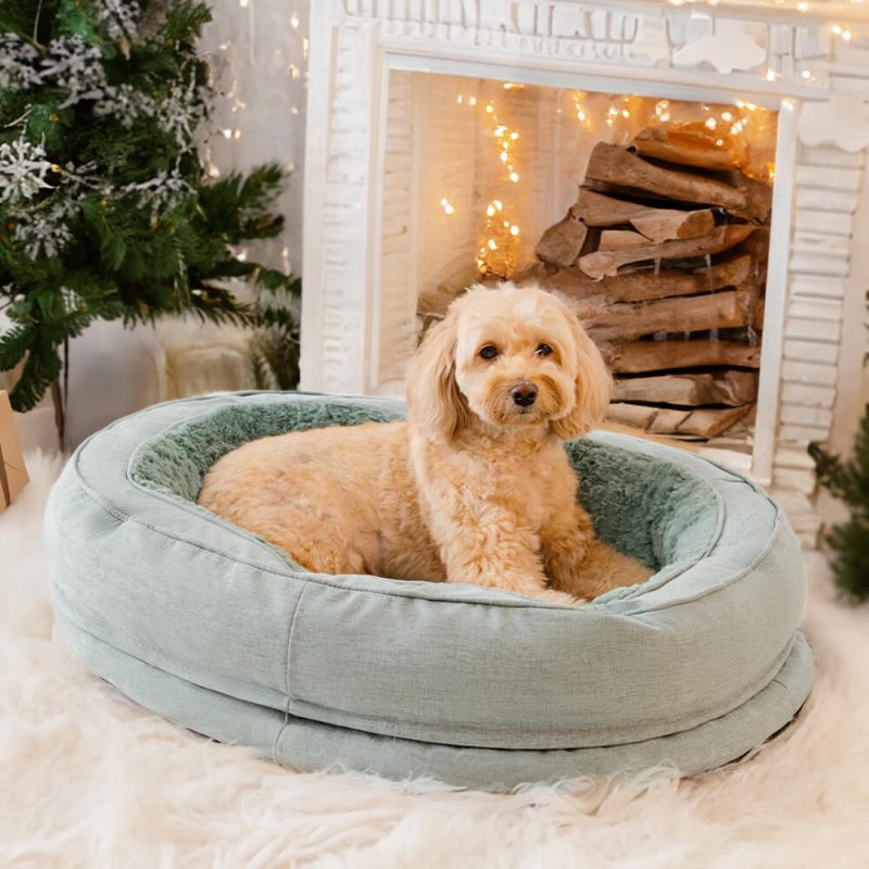 DogBed Donut