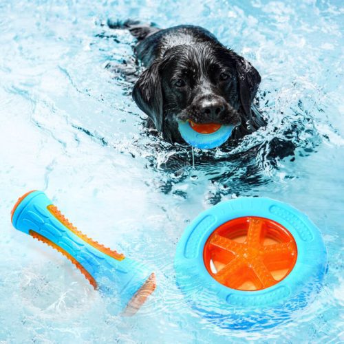 DogInteractiveChewToyOutdoorFloatingWaterToy 2