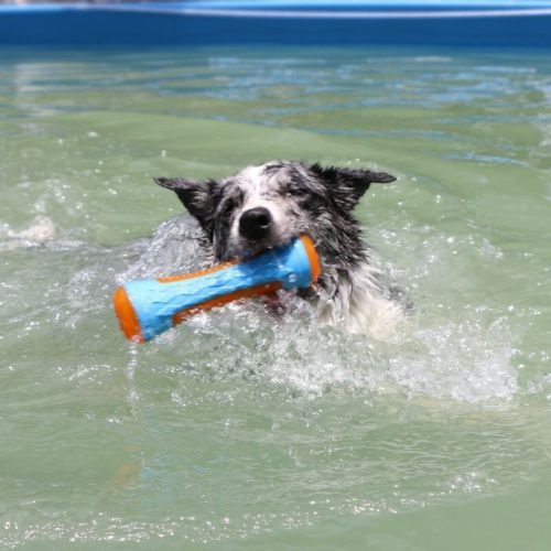 DogInteractiveChewToyOutdoorFloatingWaterToy 8