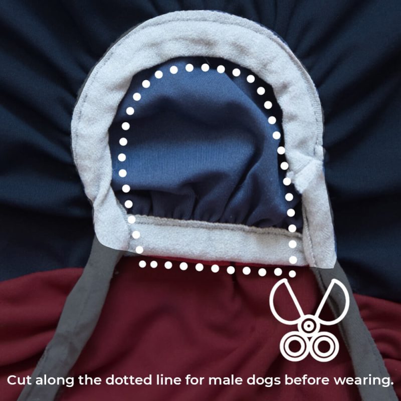 ExtraLargeStretchSunblockDogOnesieCoolingDogClothes 8