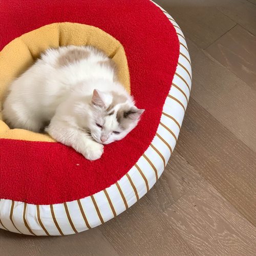 FUNNYFUZZYAppleShapedSoftPlushWashableCozyDog CatBed 10