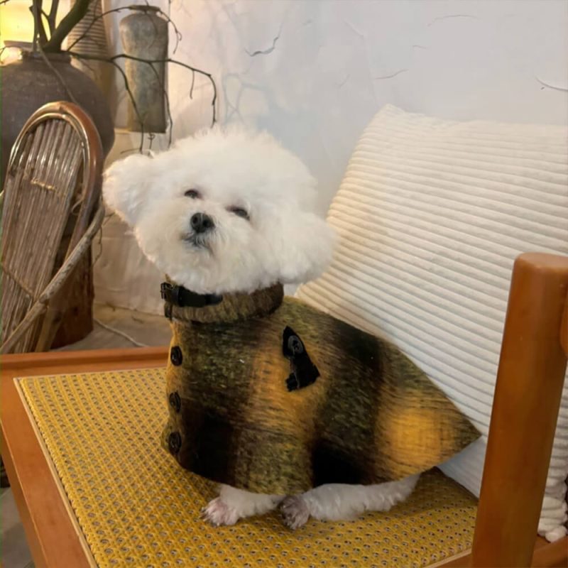 FUNNYFUZZYBritishPlaidFauxWoolWarmthLeatherCollarBuckleDogCape 2