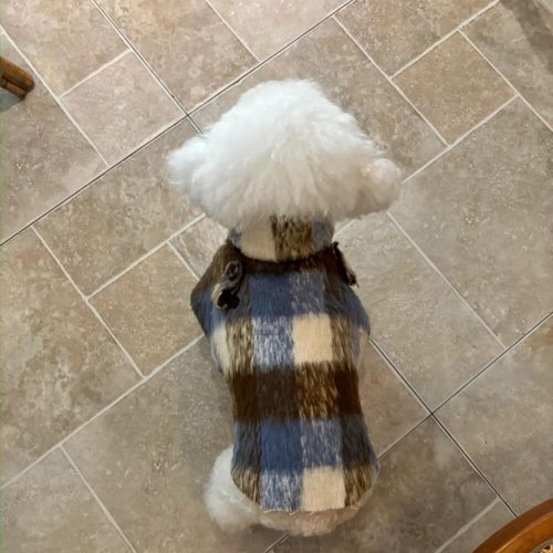 FUNNYFUZZYBritishPlaidFauxWoolWarmthLeatherCollarBuckleDogCape 9