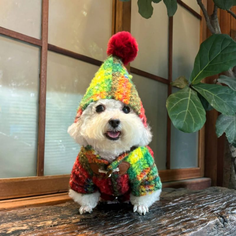 FUNNYFUZZYChristmasPlaidWoolenWarmPomPomHoodedDogCoat 1 3f81878d d87c 4f23 bbee 593c2a30cad9