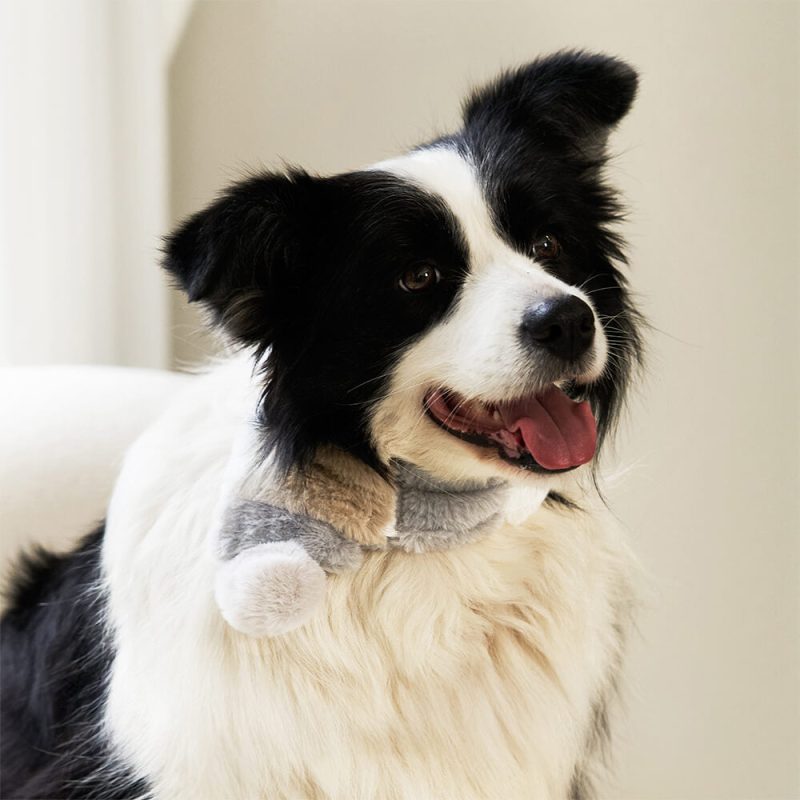 FUNNYFUZZYColorblockSoftPlushDurableDog CatScarfCollar 5