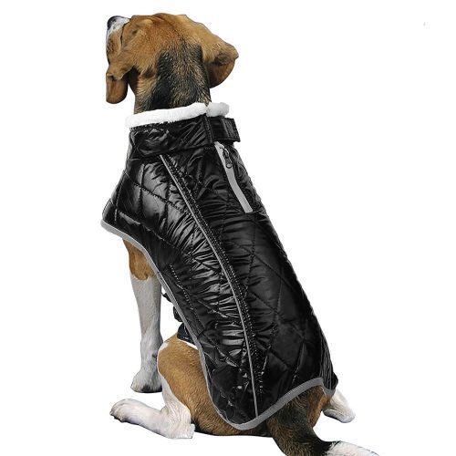 FUNNYFUZZYDazzlingColorfulWaterproofReflectiveWarmDogJacket 1