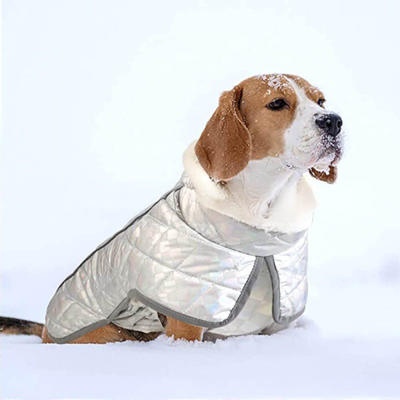 FUNNYFUZZYDazzlingColorfulWaterproofReflectiveWarmDogJacket 4