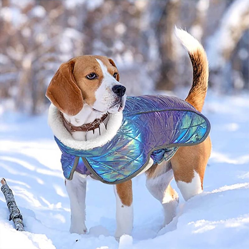 FUNNYFUZZYDazzlingColorfulWaterproofReflectiveWarmDogJacket 6