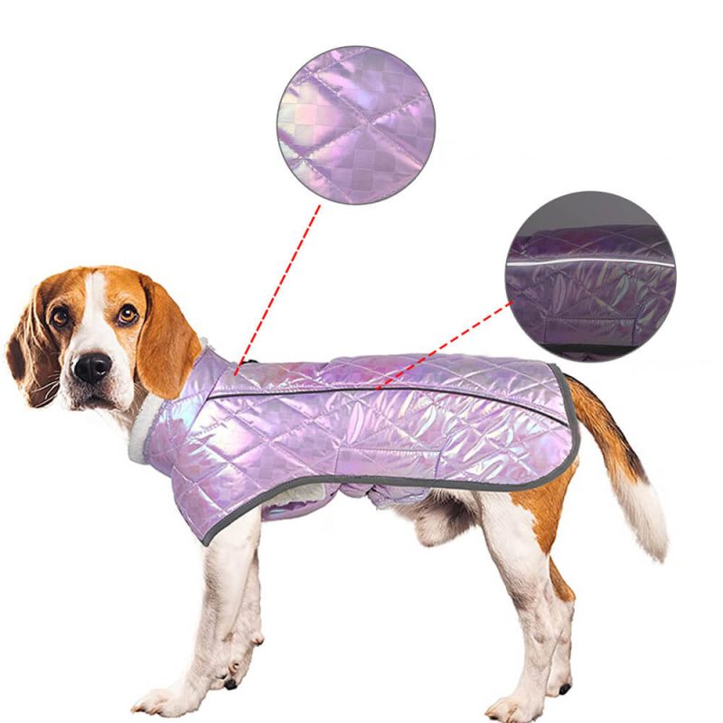 FUNNYFUZZYDazzlingColorfulWaterproofReflectiveWarmDogJacket 8