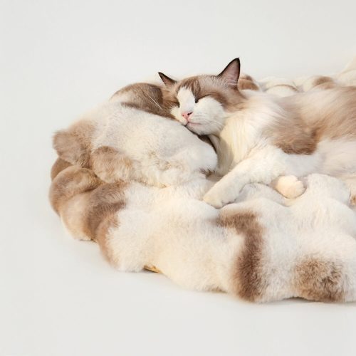 FUNNYFUZZYFauxFurWarmth RetainingRoundDog CatMatwithPillow 9