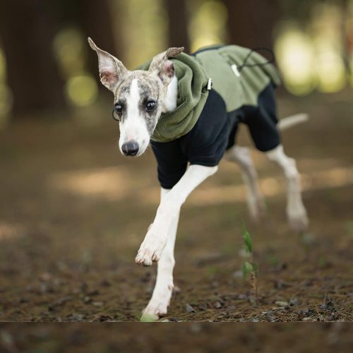 FUNNYFUZZYFour LeggedWarmPolarFleeceDogCoatwithDetachableTurtleneck 7