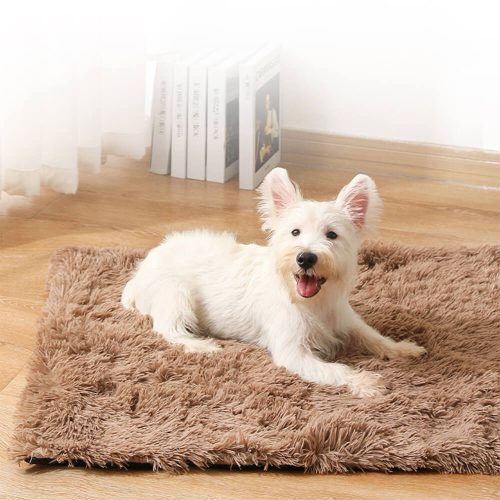 FUNNYFUZZYSoftPlushAnti SlipFluffyDog CatRugMat 4