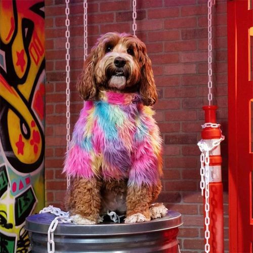 FUNNYFUZZYStylishColorfulFauxFurFluffyRainbowDogCoat 2