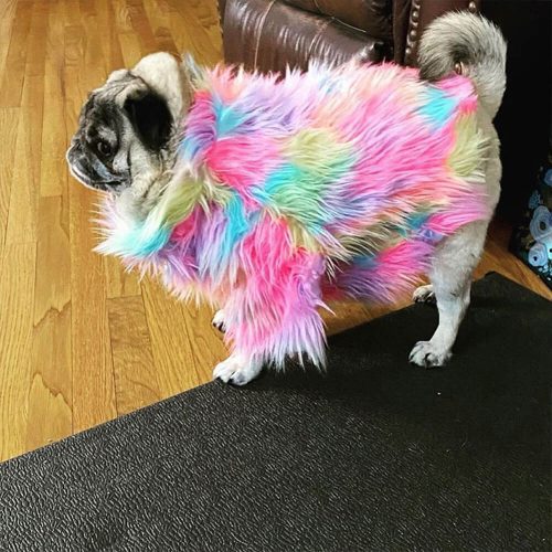 FUNNYFUZZYStylishColorfulFauxFurFluffyRainbowDogCoat 3