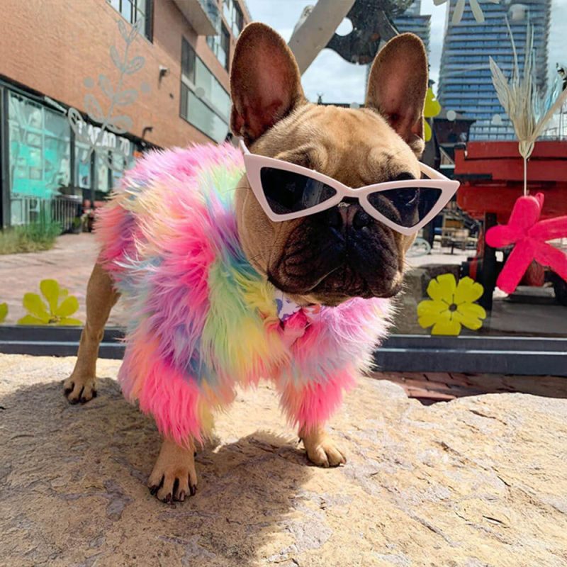 FUNNYFUZZYStylishColorfulFauxFurFluffyRainbowDogCoat 4