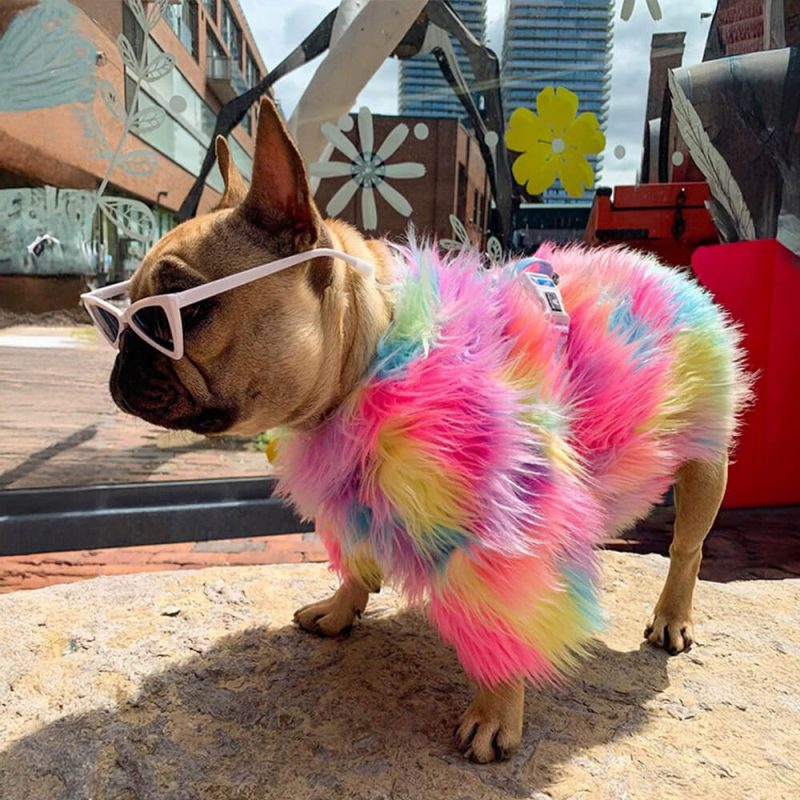 FUNNYFUZZYStylishColorfulFauxFurFluffyRainbowDogCoat 5