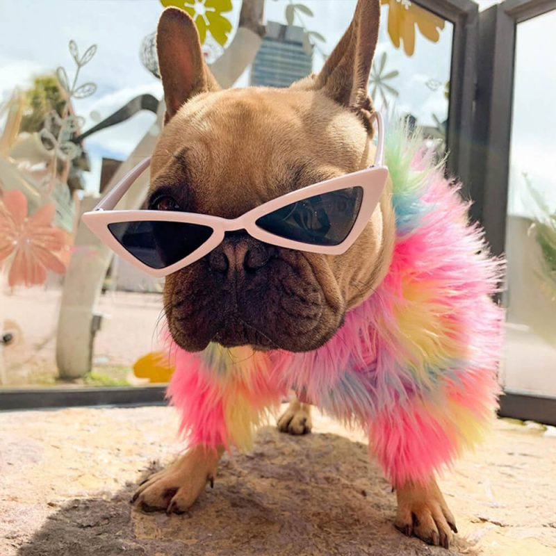 FUNNYFUZZYStylishColorfulFauxFurFluffyRainbowDogCoat 7