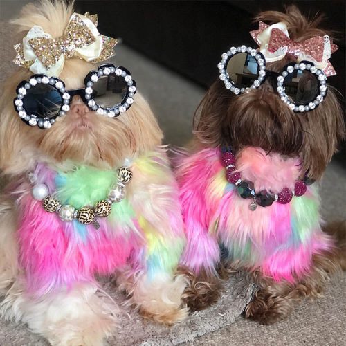 FUNNYFUZZYStylishColorfulFauxFurFluffyRainbowDogCoat 8