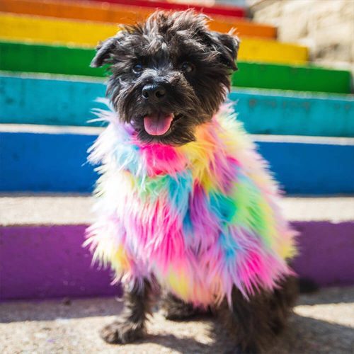 FUNNYFUZZYStylishColorfulFauxFurFluffyRainbowDogCoat 9