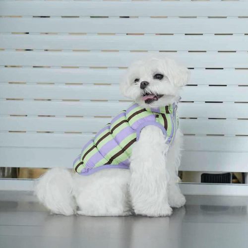 FUNNYFUZZYUltra StylishWarmLightweightDoubleSidedStripedDogVest 2