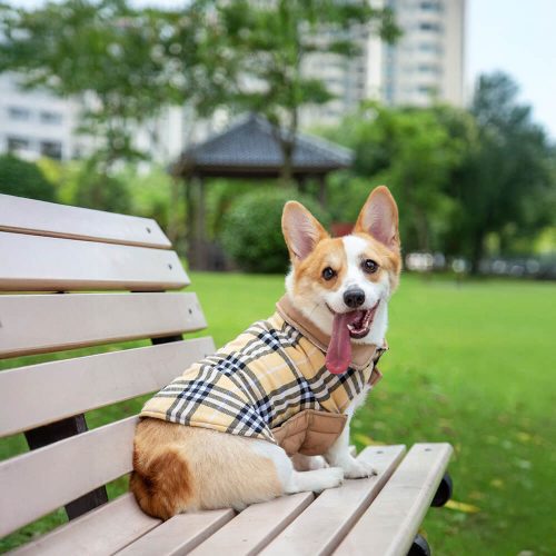 FUNNYFUZZYUltra WarmPlaidTurtleneckSkin FriendlyVelcroDogJacket 3