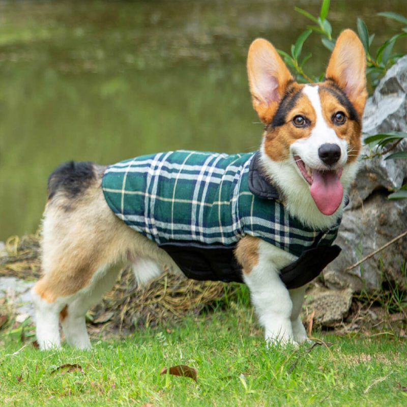 FUNNYFUZZYUltra WarmPlaidTurtleneckSkin FriendlyVelcroDogJacket 7