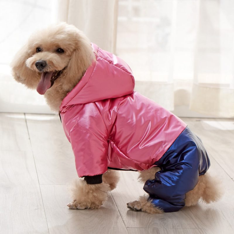 FUNNYFUZZYWaterproofWindproofWarmDogHoodedCoatwithSnapClosure 4