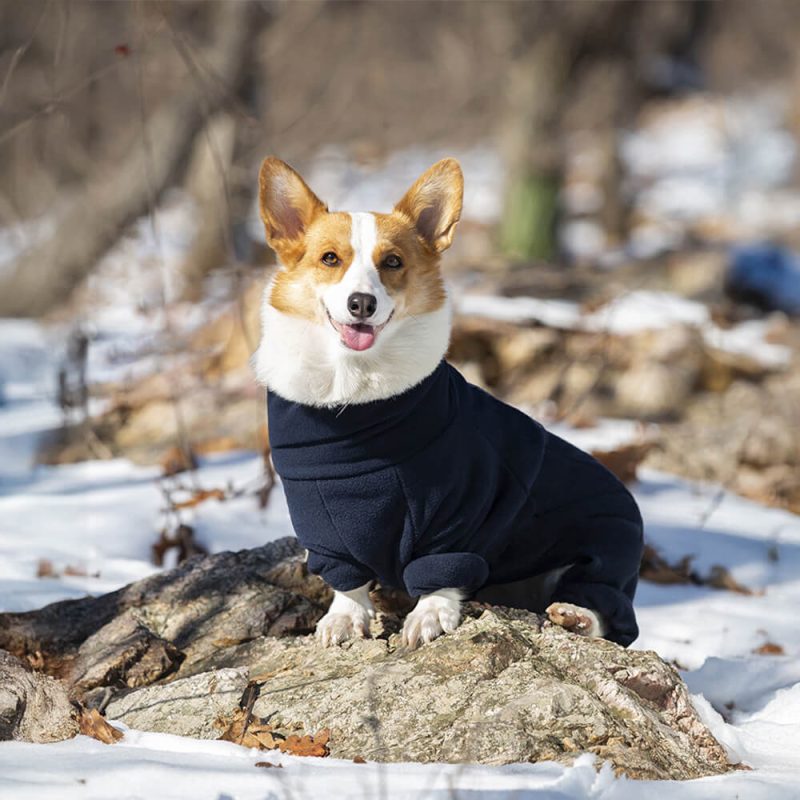 FUNNYFUZZYWindproofPolarFleeceFull BodyWarmthTurtleneckDogJumpsuit 10