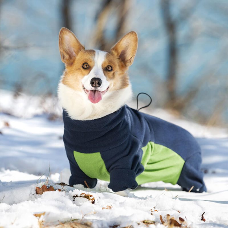 FUNNYFUZZYWindproofPolarFleeceFull BodyWarmthTurtleneckDogJumpsuit 2