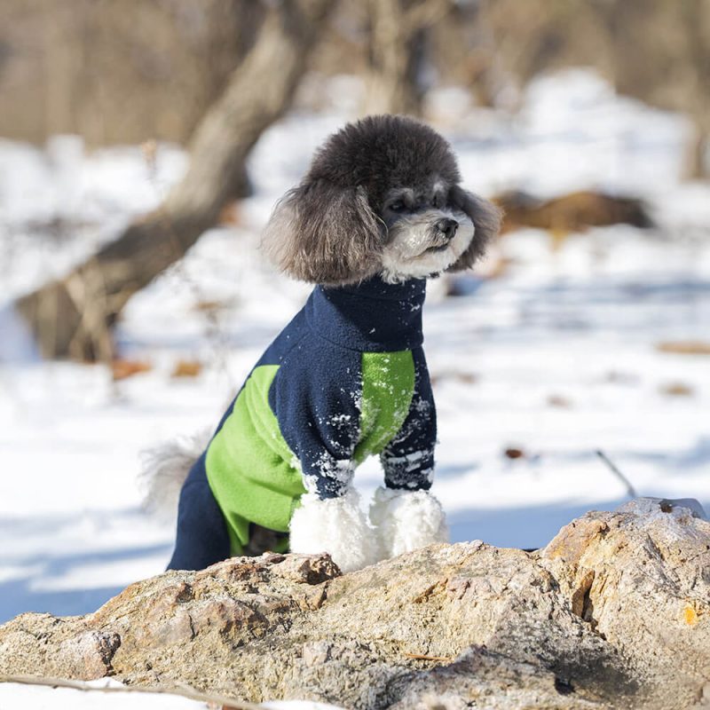 FUNNYFUZZYWindproofPolarFleeceFull BodyWarmthTurtleneckDogJumpsuit 5